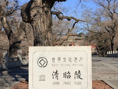 -北陵公园