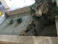 -宁波宝信宝马4S店(江北日湖店)