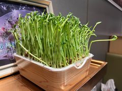 -海底捞火锅(奥森店)
