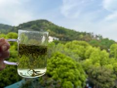 -阿巧茶庄