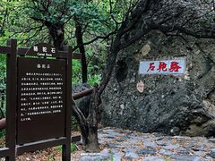 -阳台山自然风景区