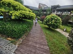 -野三坡刘家河高山漂流