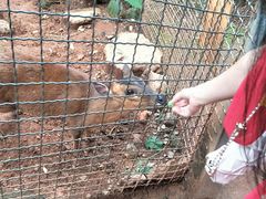 -昆明动物园