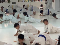 -极真空手道修远道场