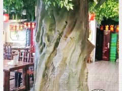 -老城味道·传统天津菜(杨柳青店)