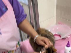 -北京观赏动物医院·24小时大型综合·猫专科·异宠专科