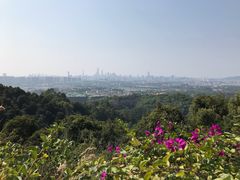 -火炉山森林公园