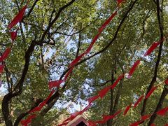 -狼山风景名胜区