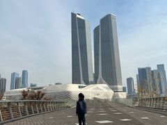 -南京眼步行桥