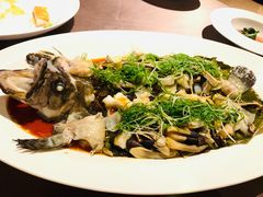 清蒸老虎斑-三利音·东方司宴(外滩店)