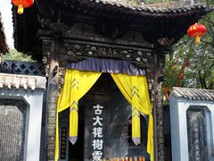-大槐树寻根祭祖园