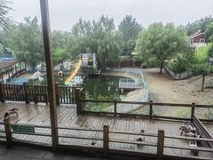 -北京鹿世界主题园