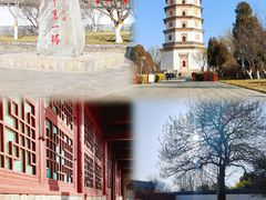 -开元寺塔