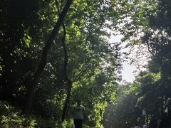 -广州市白云山风景名胜区