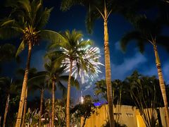 -三亚海棠湾万丽度假酒店