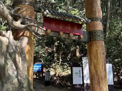 -长沙黑麋峰国家森林公园