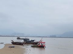 -北岐滩涂