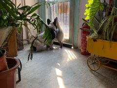 -小时光咖啡馆(北锣鼓巷店)