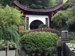 绝对值得一去的好地方，味美、景美，服务好-十八棵（老龙井）御茶园(老龙井店)