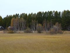 -塞罕坝国家级自然保护区