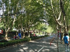 -浙江大学(玉泉校区)