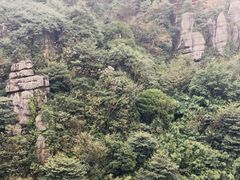 -梦幻奥陶纪景区