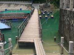-广州市流溪河国家森林公园