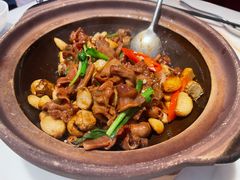 生啫雪花牛舌-顺味凤城(九六广场店)