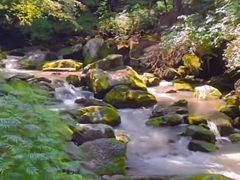 -香炉山国家森林公园