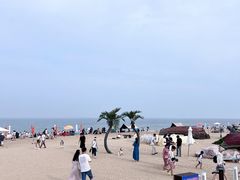 -巧克力渔家.小船海鲜胶东菜(万平口店)