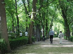 -丽池公园