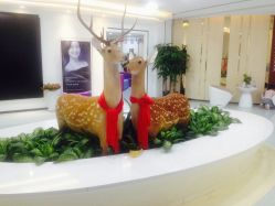 -润泽瑞尼丝医疗美容医院