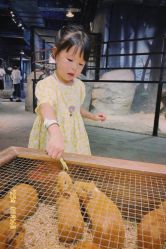 -酷嗒动物文化乐园(cutezoo西溪乐天城店)