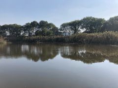 -西湖风景区-江洋畈生态公园