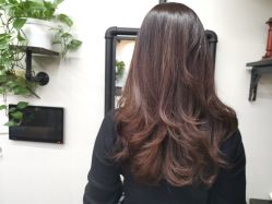 -AFA Hair studio·女士发型设计