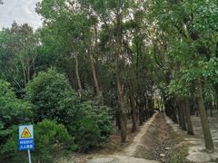 -广富林郊野公园