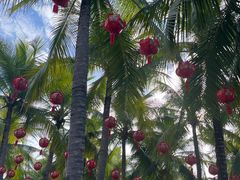 -三亚南山文化旅游区