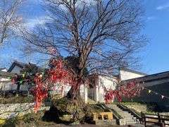 -石塘人家