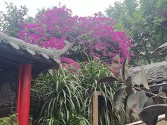 -院8里·少城记忆老川菜(宽窄巷子店)