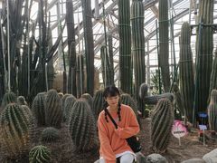 -南山植物园