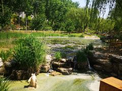 -燕郊植物园
