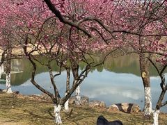 -浙江农林大学(东湖校区)