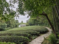 -敬亭山风景名胜区