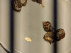 花螺-九月海·海鲜自助(世纪东方店)