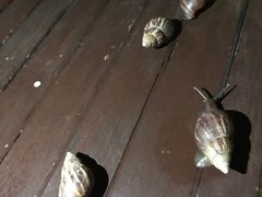 -西双版纳安纳塔拉度假酒店