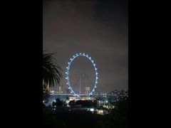-新加坡摩天观景轮