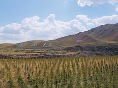 -青海湖国家重点风景名胜区