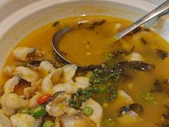 -海派美食·家宴海鲜青岛菜·石锅鲽鱼头(东方城店)