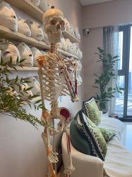 -颜和骨正&明星徒手小颜整骨