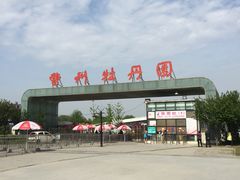 -曹州牡丹园